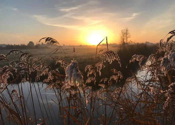 Maison Spacieuse A 300m De La Plage, Terrasse, Garage - Fr-1-323-378 Saint-Hilaire-de-Riez